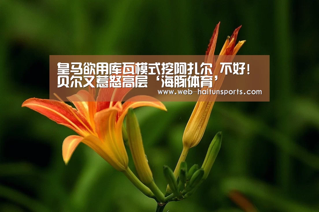 皇马欲用库瓦模式挖阿扎尔 不好!贝尔又惹怒高层‘海豚体育’(图2) 海豚体育
