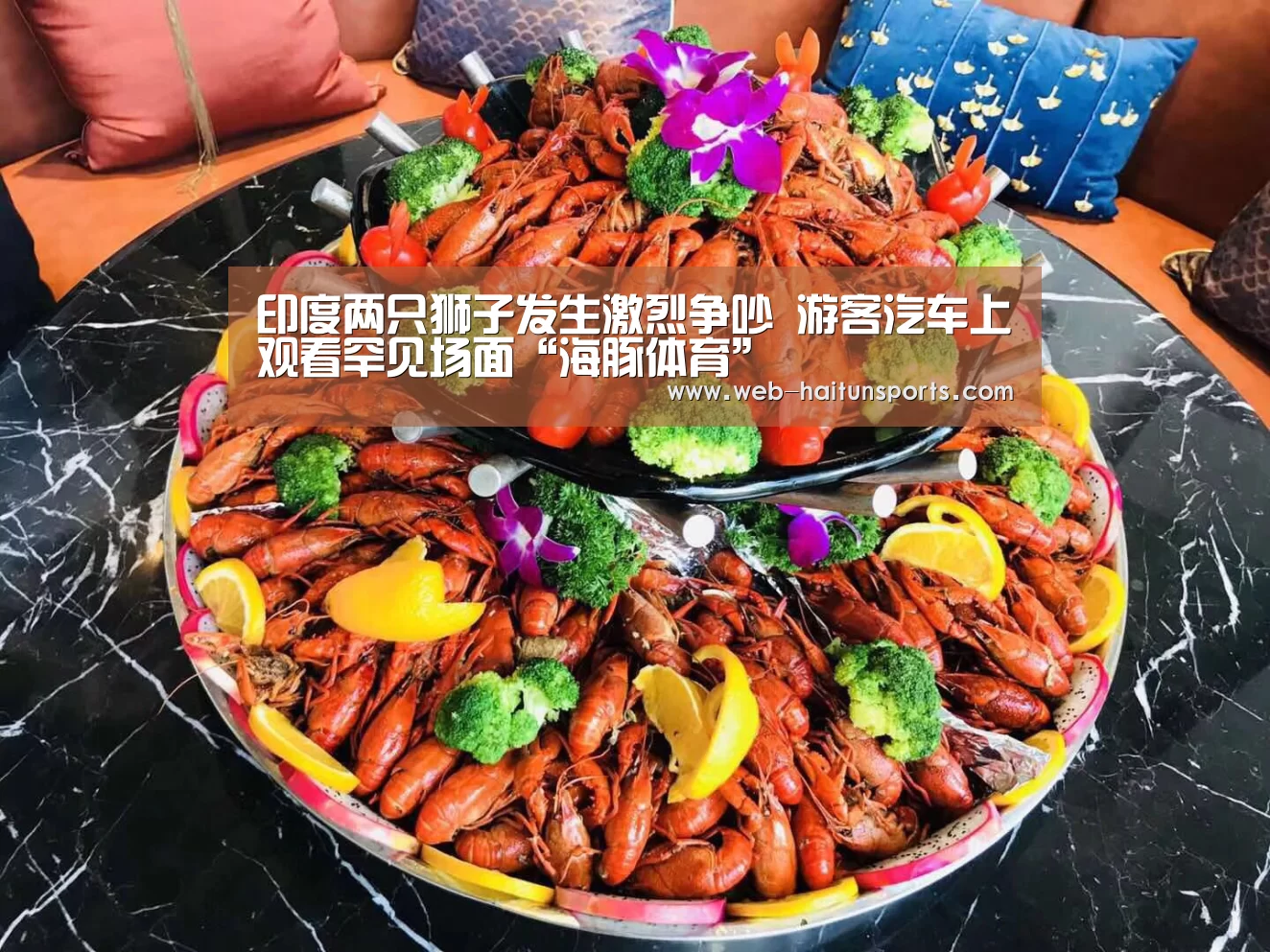 印度两只狮子发生激烈争吵 游客汽车上观看罕见场面“海豚体育”(图3) 海豚体育